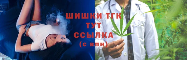 спиды Каменногорск