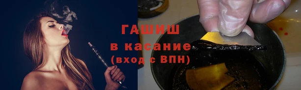 спиды Каменногорск