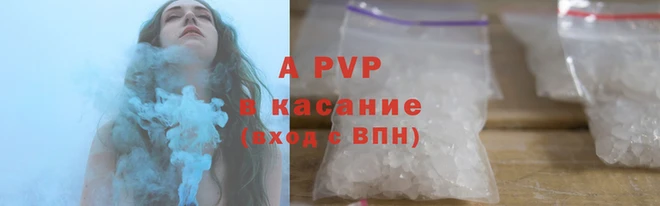 спиды Каменногорск