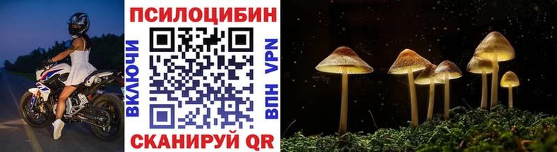 Псилоцибиновые грибы Magic Shrooms  Купить закладки  Улан-Удэ 